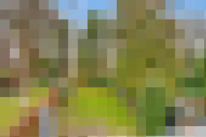 Paltzerweg 233 Den Dolder thumbnail 34