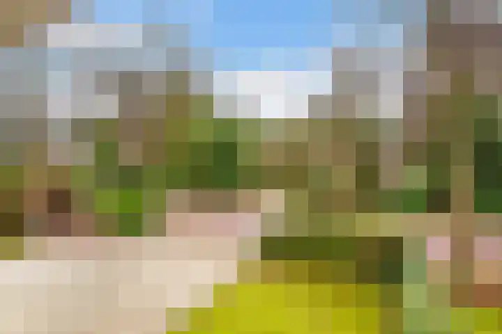 Paltzerweg 233 Den Dolder thumbnail 44