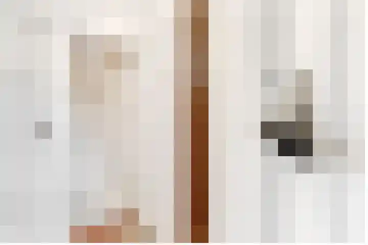 Paltzerweg 233 Den Dolder thumbnail 45
