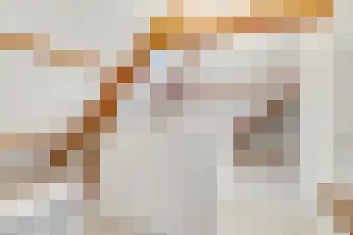 Paltzerweg 233 Den Dolder thumbnail 46