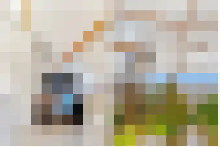 Paltzerweg 233 Den Dolder thumbnail 48