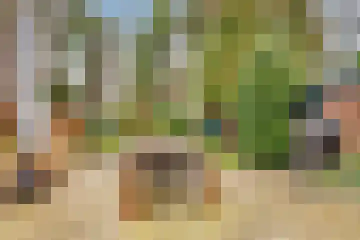 Paltzerweg 233 Den Dolder thumbnail 50