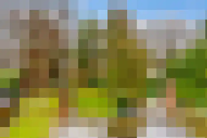 Paltzerweg 233 Den Dolder thumbnail 51