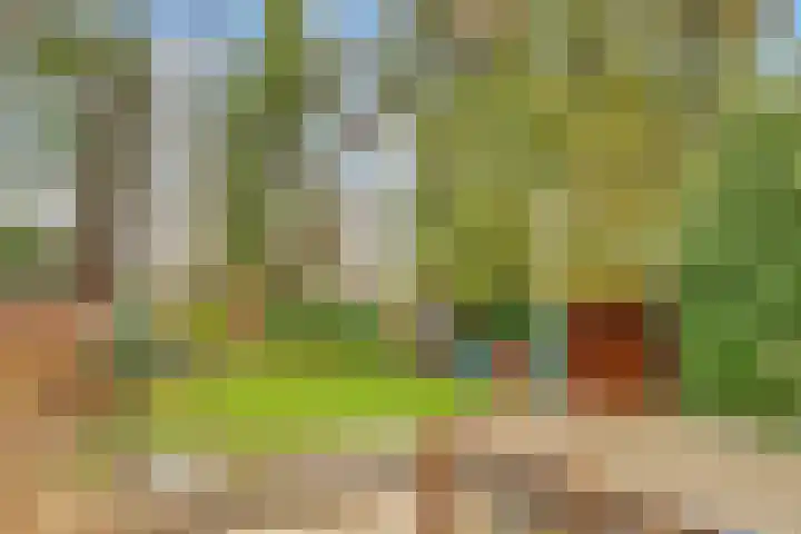 Paltzerweg 233 Den Dolder thumbnail 52