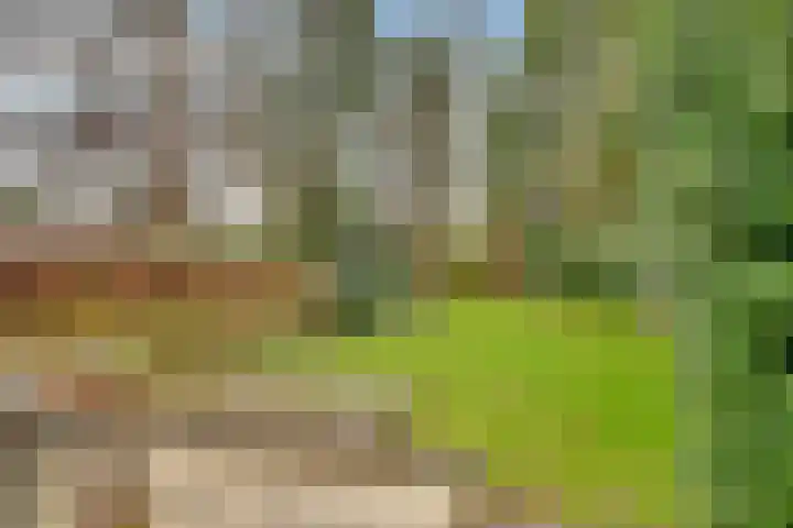 Paltzerweg 233 Den Dolder thumbnail 53
