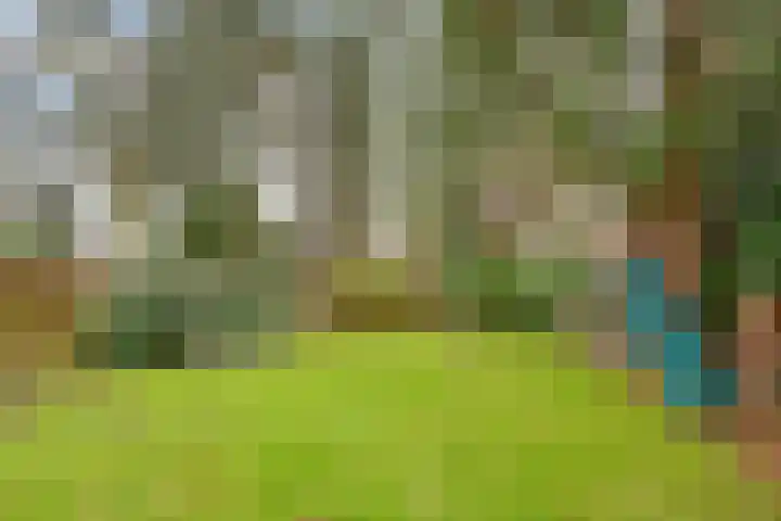 Paltzerweg 233 Den Dolder thumbnail 55