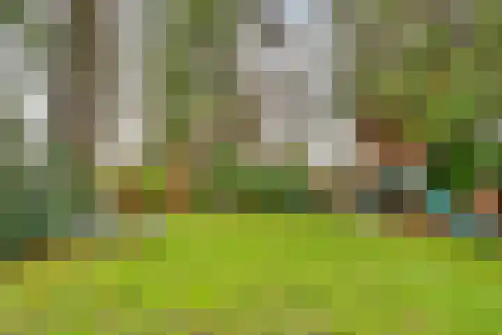 Paltzerweg 233 Den Dolder thumbnail 56