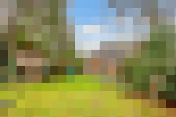 Paltzerweg 233 Den Dolder thumbnail 57