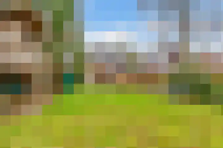 Paltzerweg 233 Den Dolder thumbnail 58
