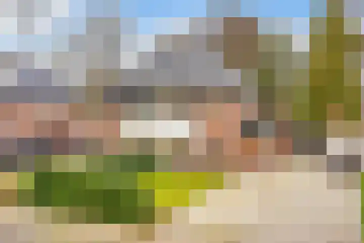 Paltzerweg 233 Den Dolder thumbnail 59