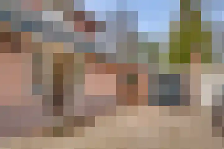 Paltzerweg 233 Den Dolder thumbnail 60