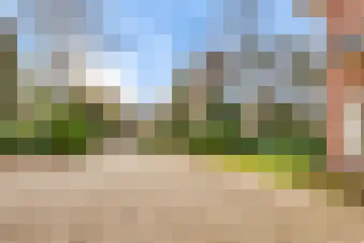 Paltzerweg 233 Den Dolder thumbnail 62
