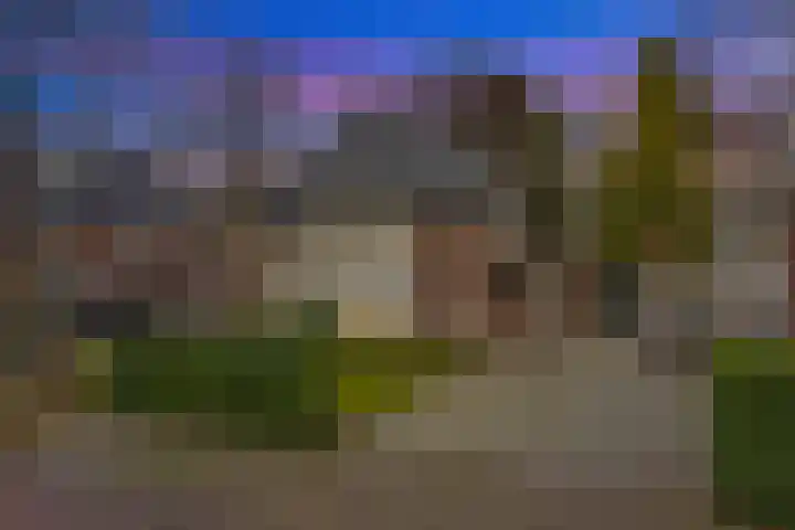 Paltzerweg 233 Den Dolder thumbnail 63