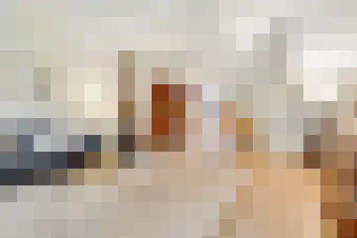 Paltzerweg 233 Den Dolder thumbnail 7