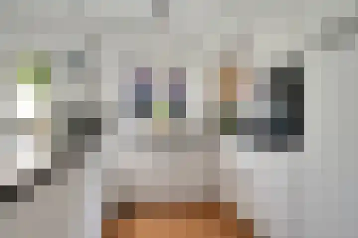 Paltzerweg 237 Den Dolder thumbnail 19