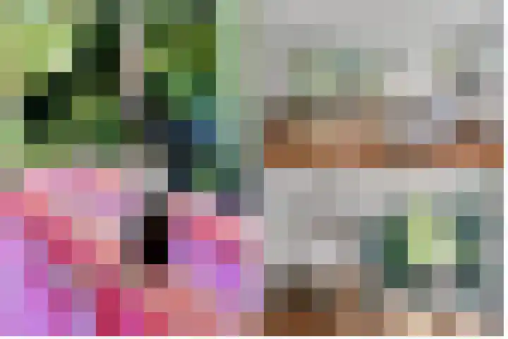 Paltzerweg 237 Den Dolder thumbnail 21