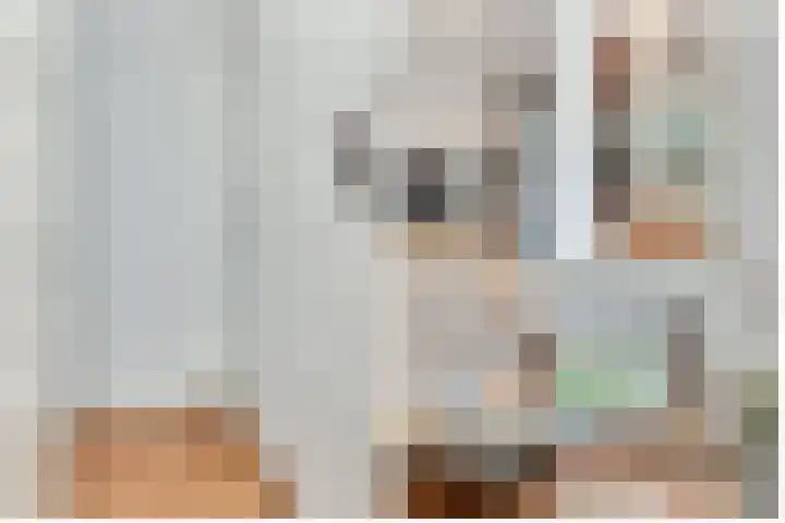 Paltzerweg 237 Den Dolder thumbnail 43