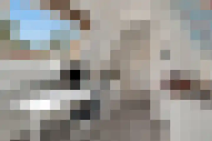 Paltzerweg 237 Den Dolder thumbnail 44