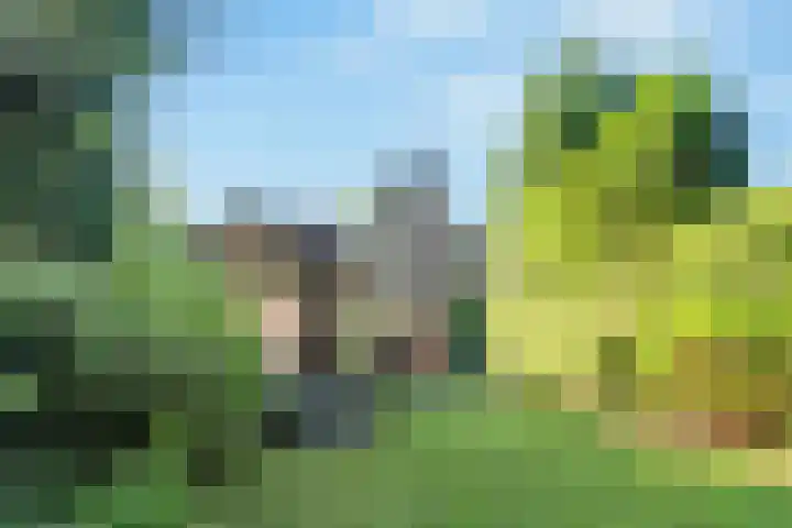 Paltzerweg 237 Den Dolder thumbnail 5