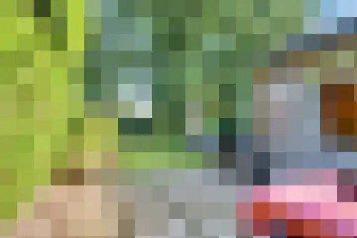 Paltzerweg 237 Den Dolder thumbnail 52