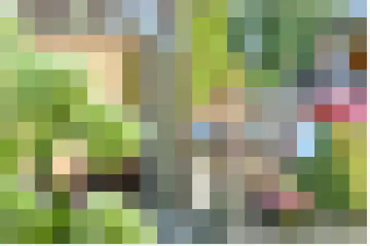 Paltzerweg 237 Den Dolder thumbnail 53