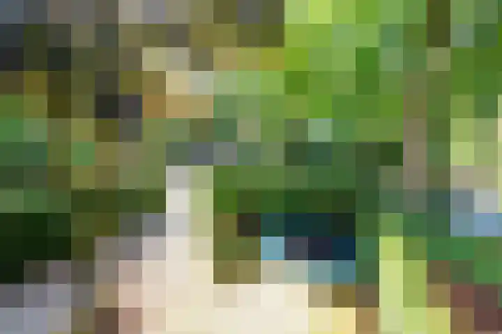 Paltzerweg 237 Den Dolder thumbnail 55