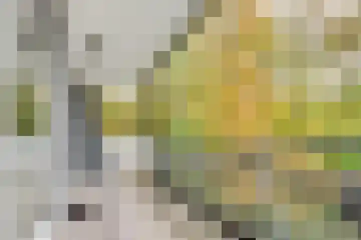 Paltzerweg 254 Den Dolder thumbnail 19