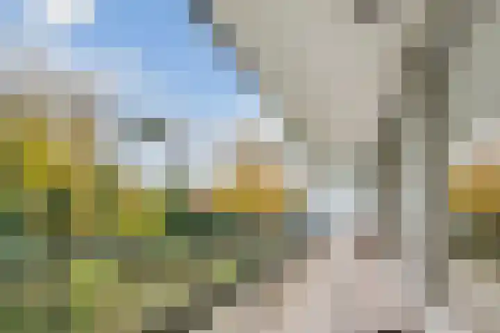 Paltzerweg 254 Den Dolder thumbnail 20