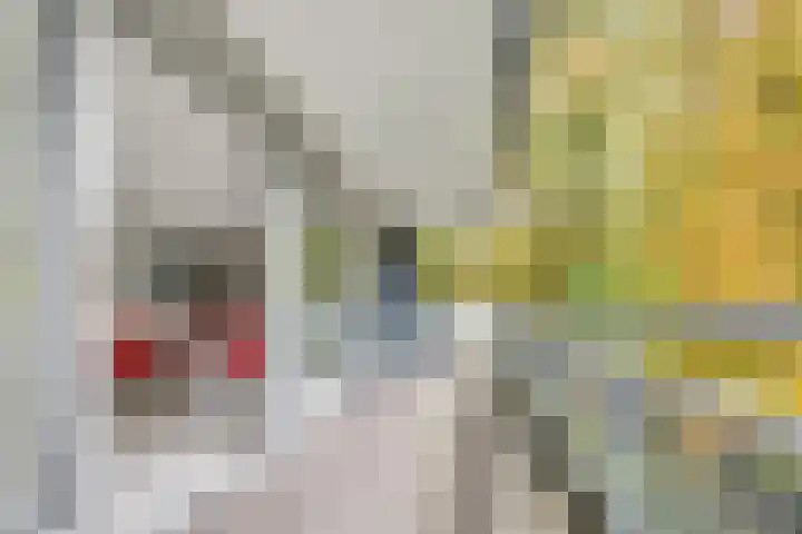 Paltzerweg 254 Den Dolder thumbnail 21