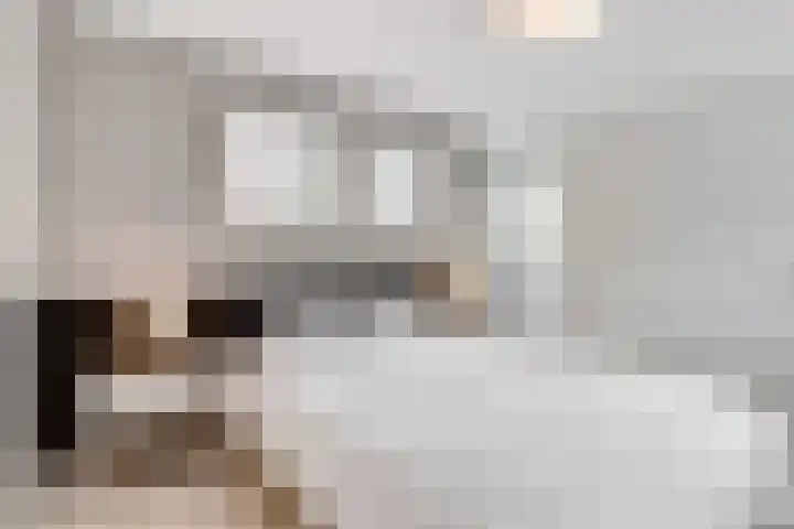 Paltzerweg 254 Den Dolder thumbnail 25