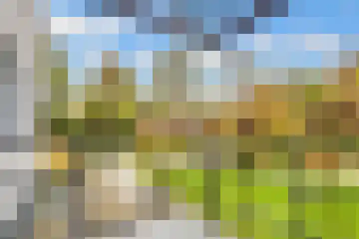 Paltzerweg 254 Den Dolder thumbnail 44