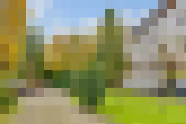 Paltzerweg 254 Den Dolder thumbnail 46