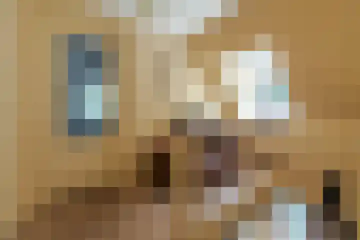 Paltzerweg 311 Den Dolder thumbnail 20