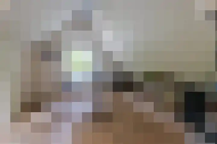 Paltzerweg 311 Den Dolder thumbnail 21