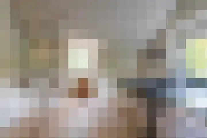 Paltzerweg 311 Den Dolder thumbnail 22
