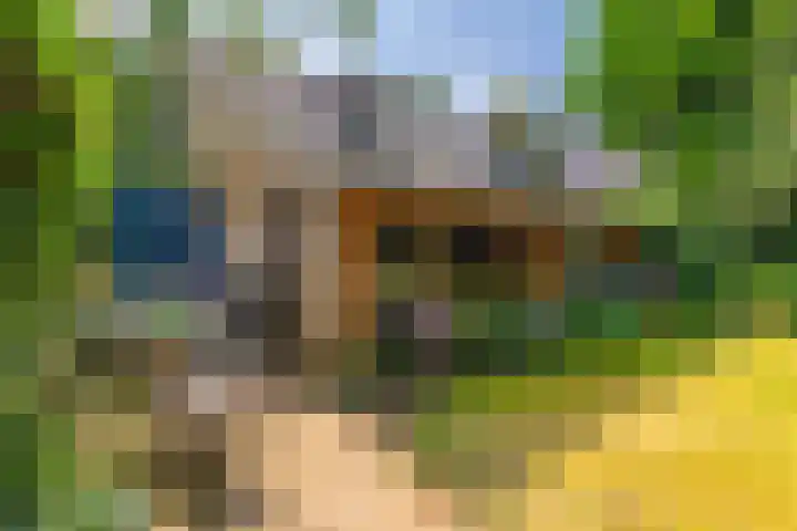 Paltzerweg 311 Den Dolder thumbnail 26