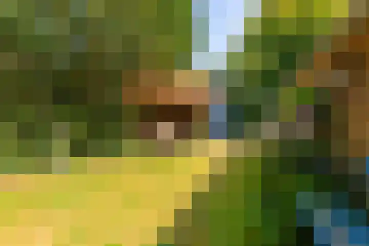 Paltzerweg 311 Den Dolder thumbnail 27