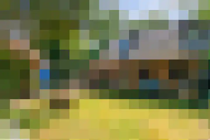 Paltzerweg 311 Den Dolder thumbnail 28