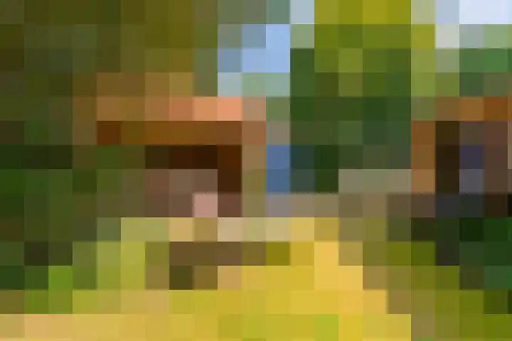 Paltzerweg 311 Den Dolder thumbnail 29