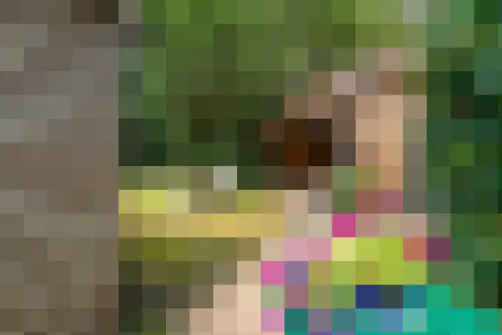 Paltzerweg 311 Den Dolder thumbnail 31