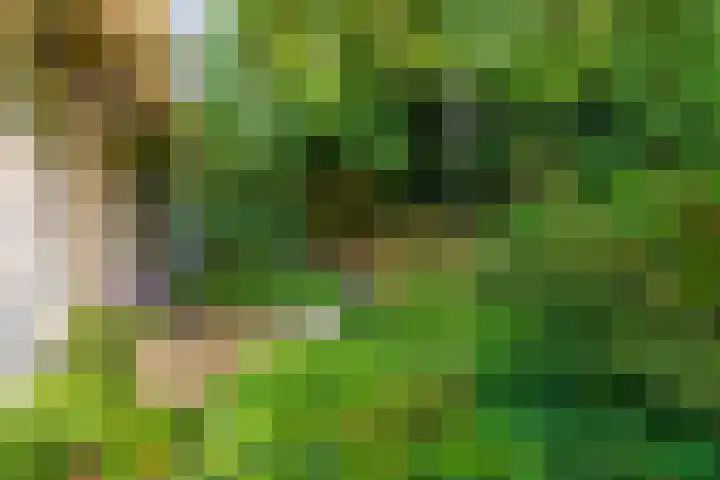 Paltzerweg 311 Den Dolder thumbnail 32