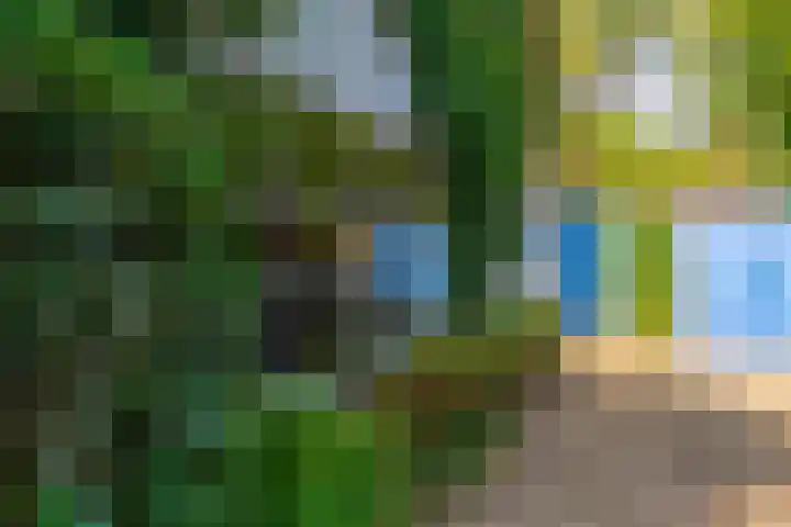 Paltzerweg 311 Den Dolder thumbnail 33