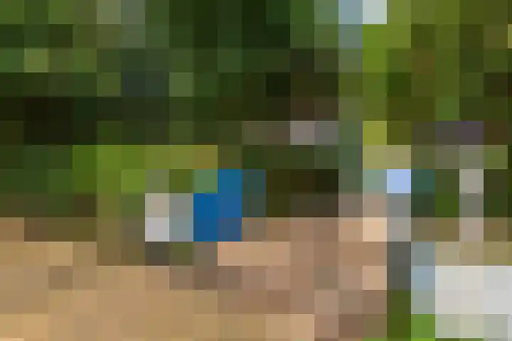 Paltzerweg 311 Den Dolder thumbnail 34