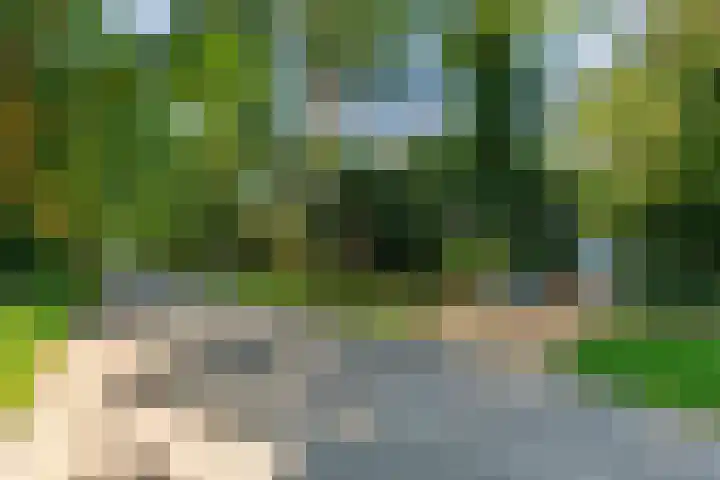 Paltzerweg 311 Den Dolder thumbnail 35