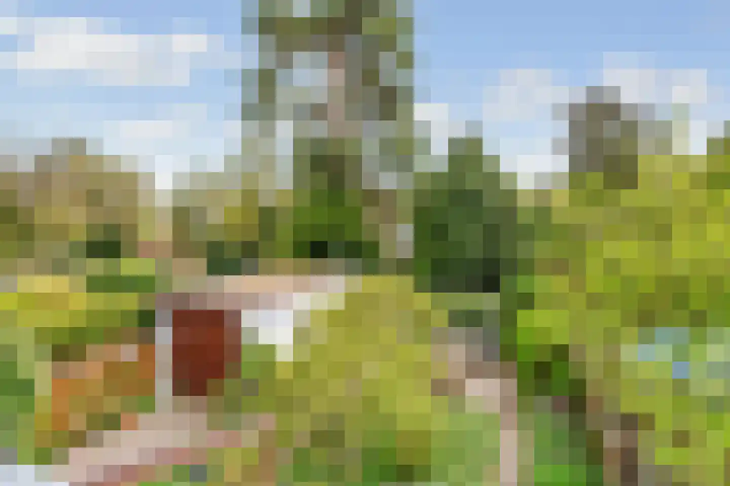 Paltzerweg 42 A Bilthoven thumbnail 22