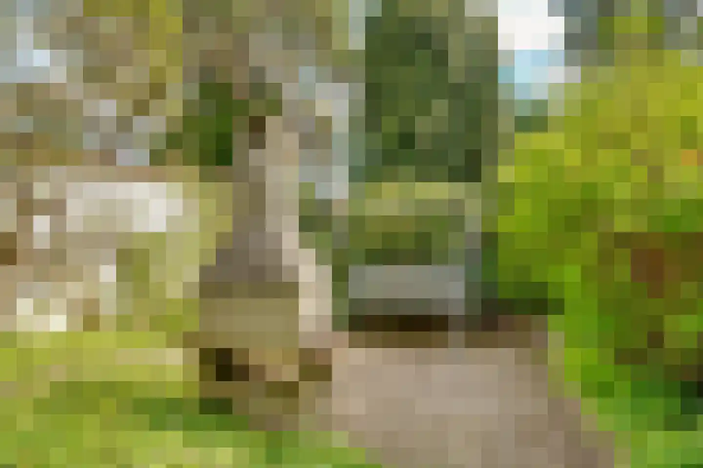 Paltzerweg 42 A Bilthoven thumbnail 36