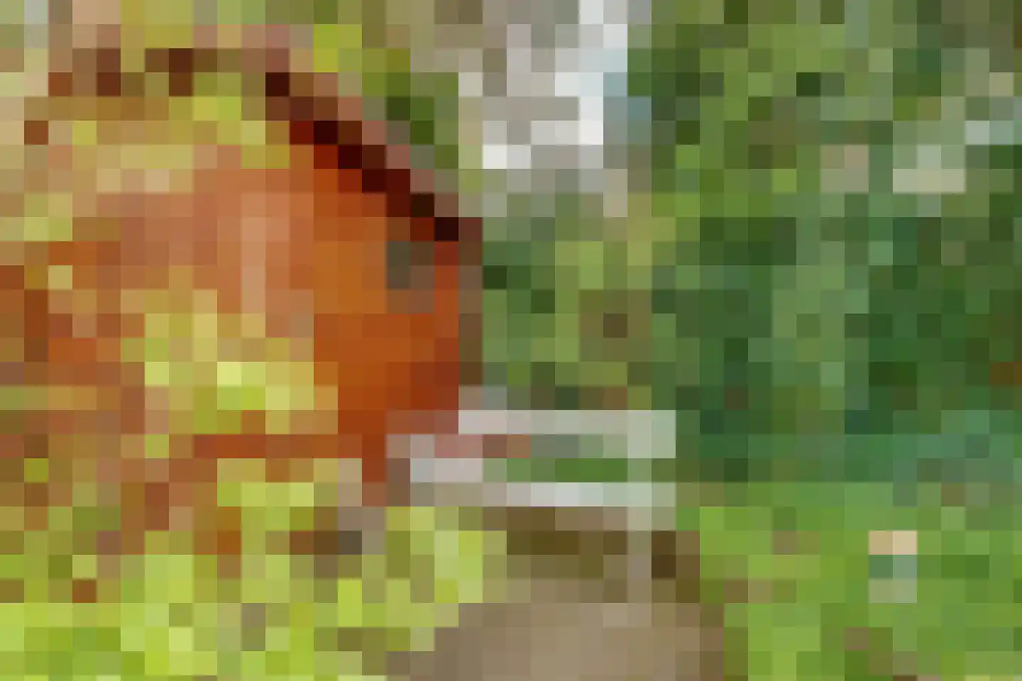 Paltzerweg 42 A Bilthoven thumbnail 39