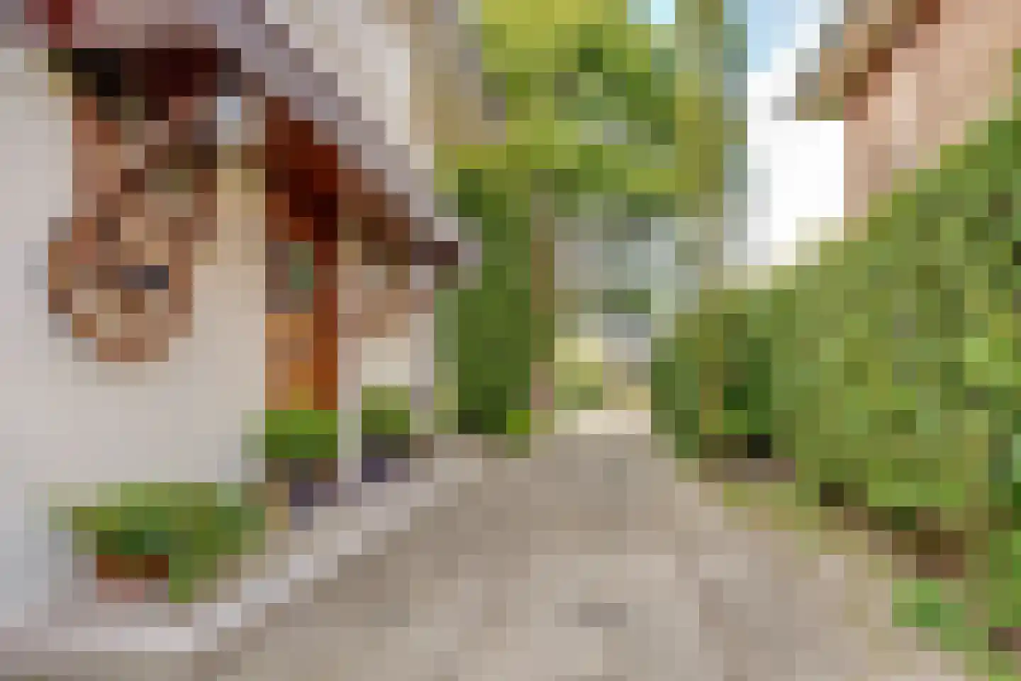 Paltzerweg 42 A Bilthoven thumbnail 46