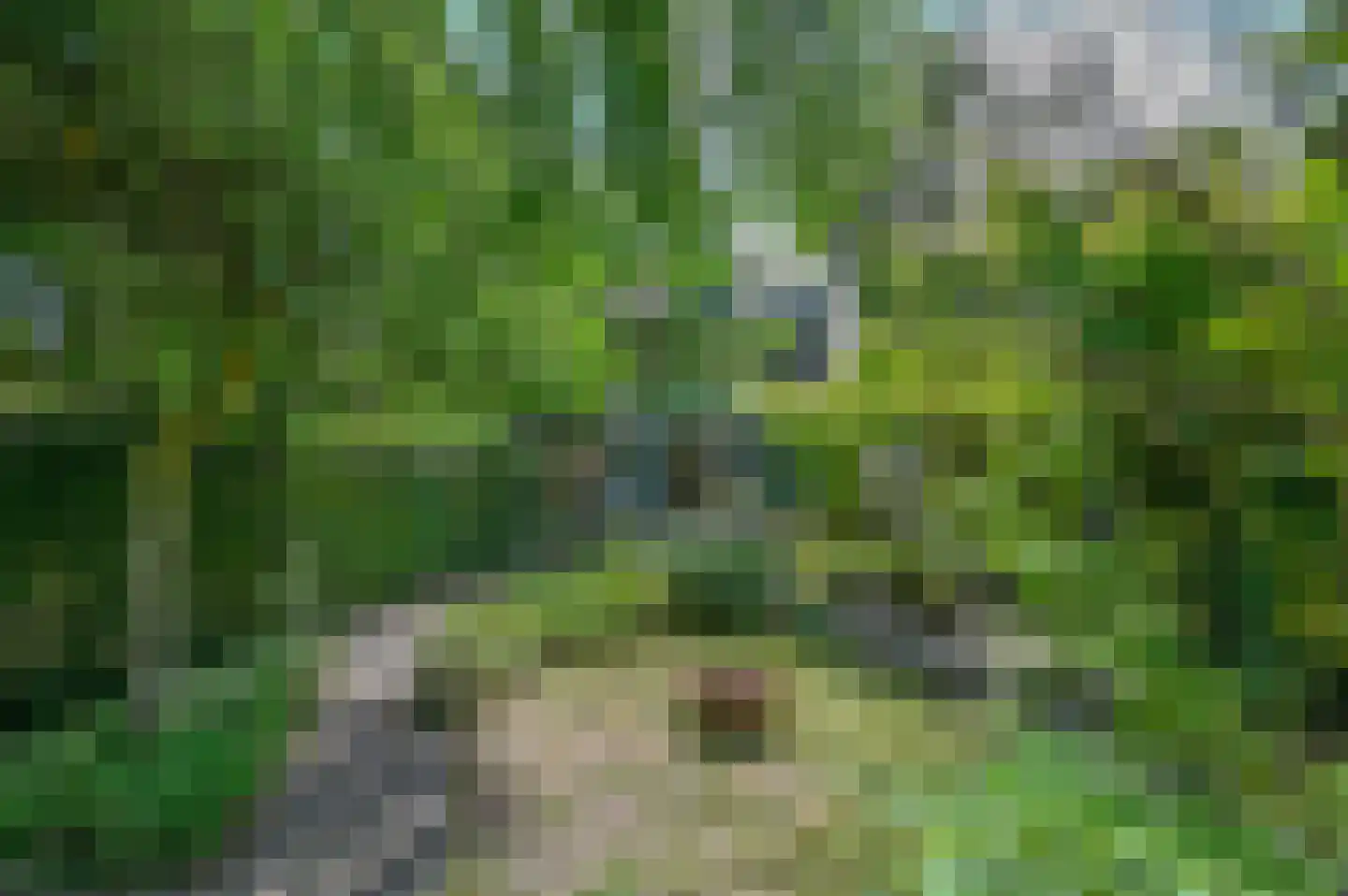 Paltzerweg 51 Bilthoven thumbnail 32