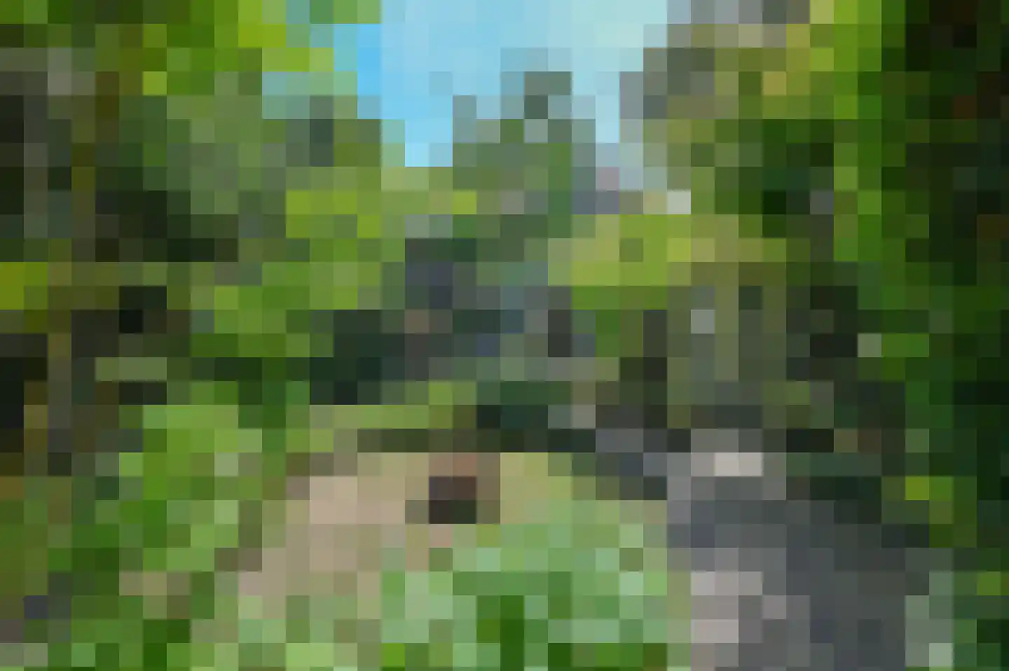 Paltzerweg 51 Bilthoven thumbnail 33